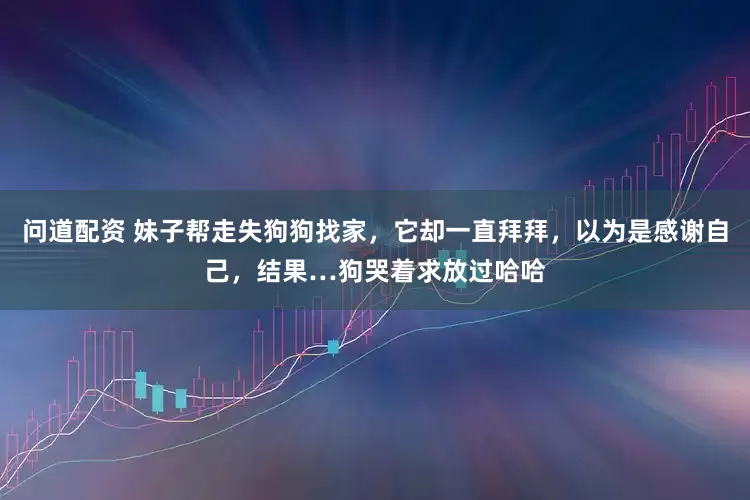 问道配资 妹子帮走失狗狗找家，它却一直拜拜，以为是感谢自己，结果…狗哭着求放过哈哈
