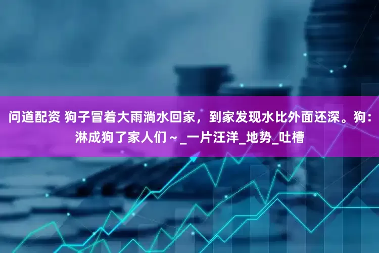 问道配资 狗子冒着大雨淌水回家，到家发现水比外面还深。狗：淋成狗了家人们～_一片汪洋_地势_吐槽