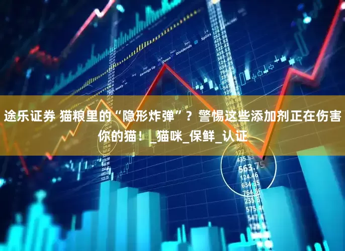 途乐证券 猫粮里的“隐形炸弹”？警惕这些添加剂正在伤害你的猫！_猫咪_保鲜_认证